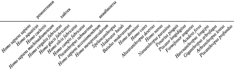 Человек после человека - pic_24.png