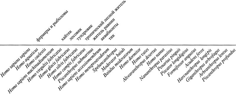 Человек после человека - pic_39.png