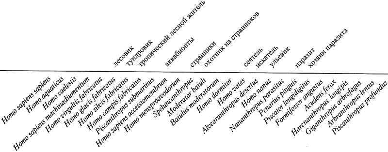 Человек после человека - pic_69.png