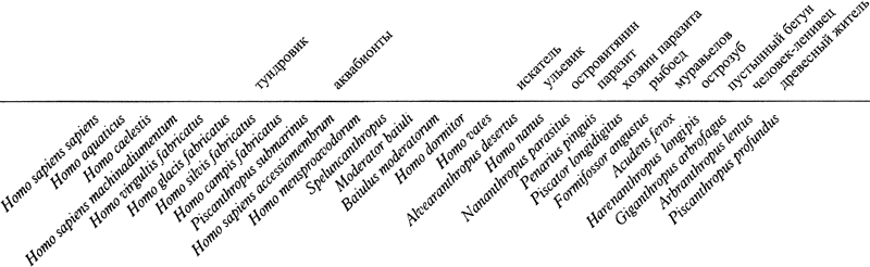 Человек после человека - pic_78.png