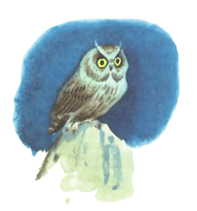 Маленькая принцесса - i_013.png