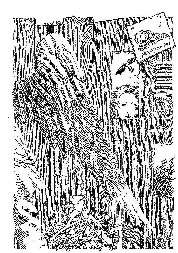 Скеллиг - i_003.png