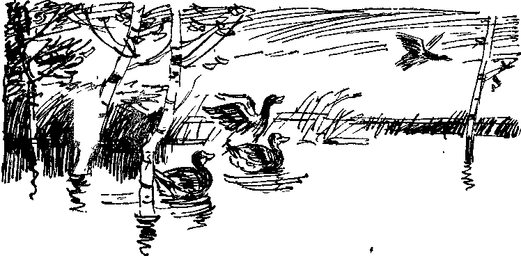 Пора забот - i_007.png