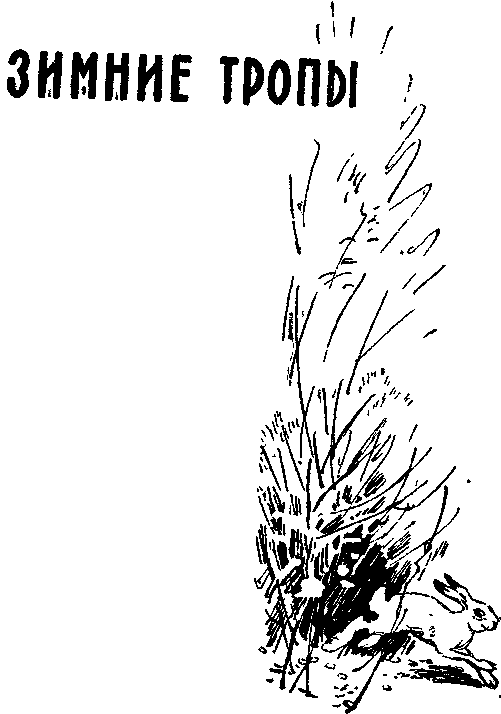 Зимние тропы - i_002.png