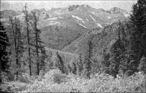 По Восточному Алтаю - img_14.jpeg