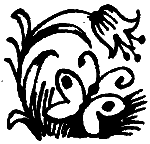 Вниз по волшебной реке - i_018.png