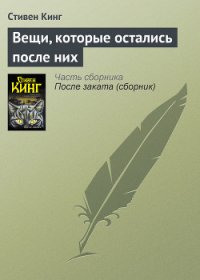 Вещи, которые остались после них - Кинг Стивен