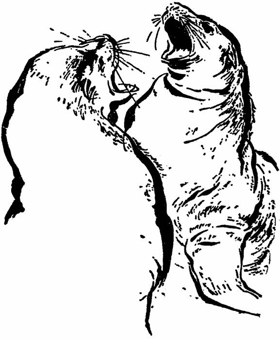 The Whispering Land - pic_10.jpg