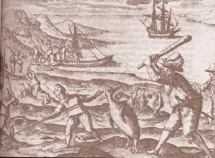 Подобно солнцу - i_034.jpg