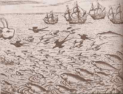 Подобно солнцу - i_044.jpg