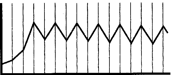 Загадочное ночное убийство собаки - pic_19.png