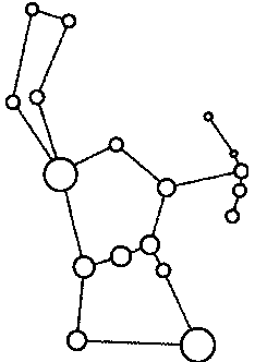 Загадочное ночное убийство собаки - pic_21.png