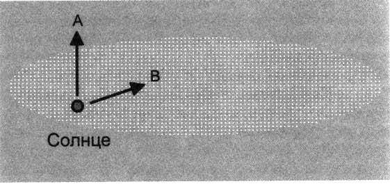 Загадочное ночное убийство собаки - pic_5.jpg