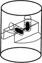 Загадочное ночное убийство собаки - pic_56.jpg