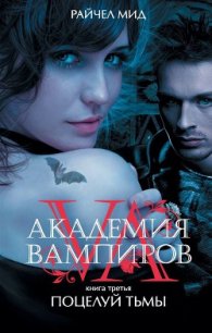 Читать книгу Поцелуй тьмы, автор Мид Ричел (Райчел) Поцелуй тьмы - Мид Ричел (Райчел)