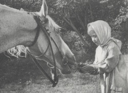 Анютина дорога - _0005.JPG