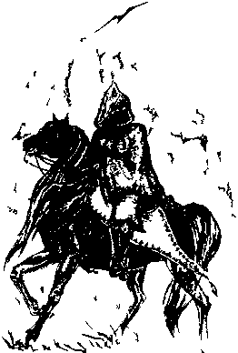 Небесный полководец - doc2fb_image_03000008.png