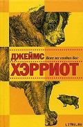 Серия книг Записки ветеринара
