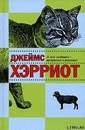 Серия книг Записки ветеринара