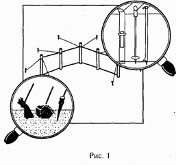 Школа выживания при авариях и стихийных бедствиях - any2fbimgloader0.png