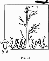 Школа выживания при авариях и стихийных бедствиях - any2fbimgloader37.png