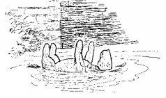 The house at Pooh Corner - pic6.jpg