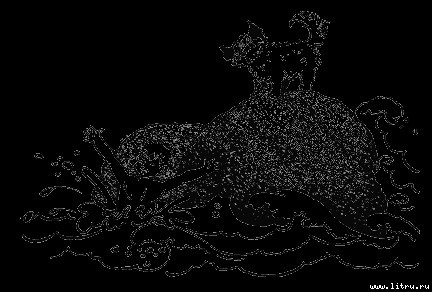 Кыш и я в Крыму - any2fbimgloader5.jpg