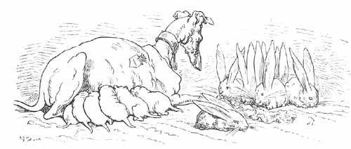 Aventures Et Mesaventures Du Baron De Munchhausen (illustre) - pic_27.jpg