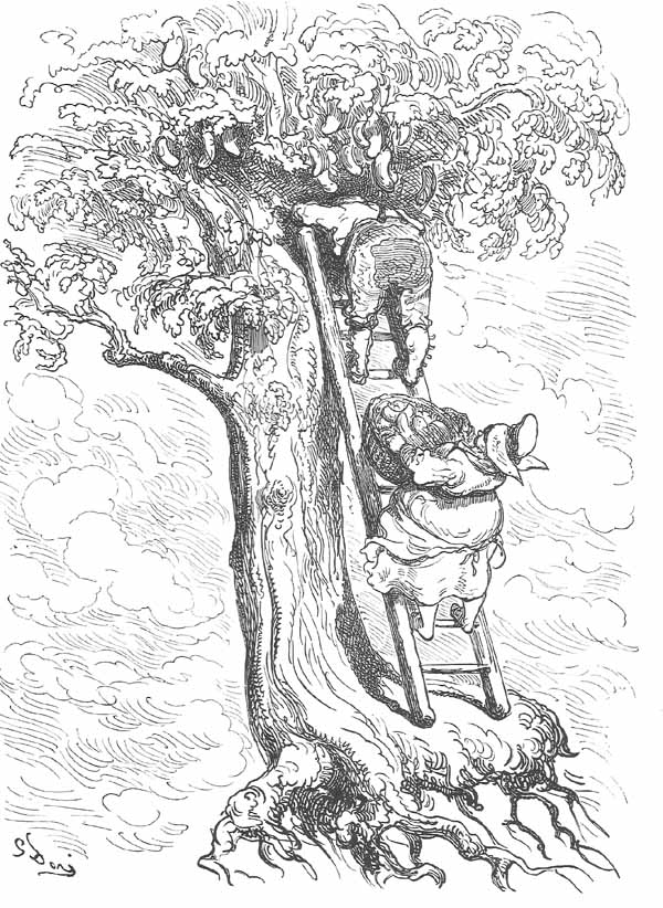 Aventures Et Mesaventures Du Baron De Munchhausen (illustre) - pic_45.jpg