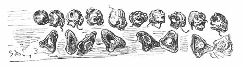 Aventures Et Mesaventures Du Baron De Munchhausen (illustre) - pic_93.jpg