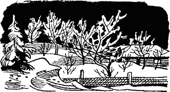 Бабушкины янтари - i_005.png