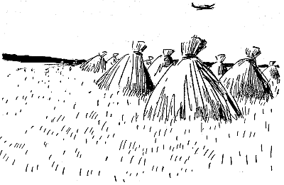 Найти человека - i_007.png