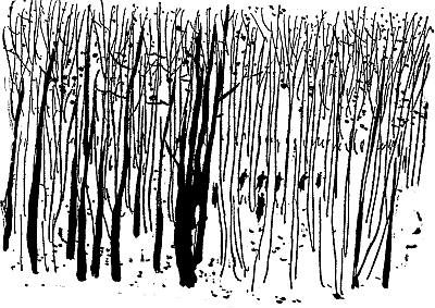 Найти человека - i_016.png