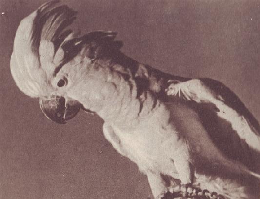 Чудесный мир - i_010.jpg