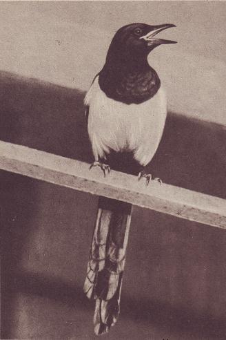 Чудесный мир - i_014.jpg