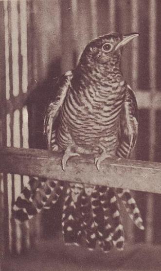 Чудесный мир - i_018.jpg