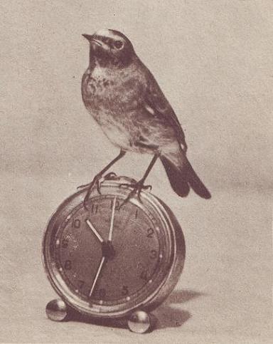 Чудесный мир - i_020.jpg