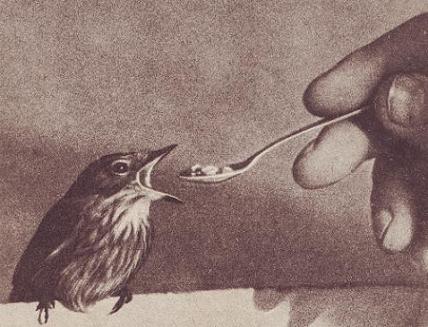 Чудесный мир - i_021.jpg