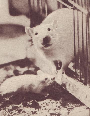 Чудесный мир - i_026.jpg