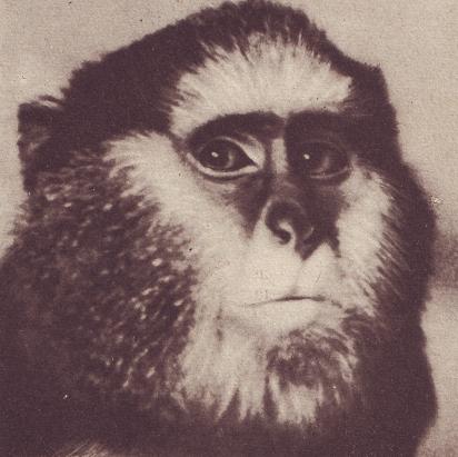 Чудесный мир - i_027.jpg