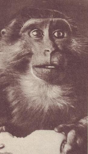 Чудесный мир - i_028.jpg