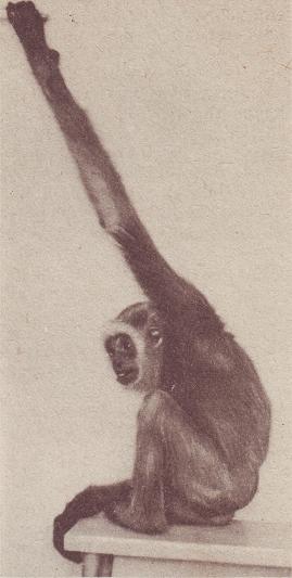 Чудесный мир - i_029.jpg