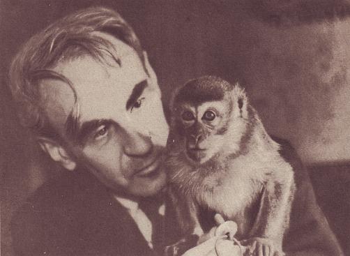 Чудесный мир - i_030.jpg