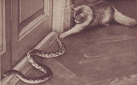 Чудесный мир - i_038.jpg