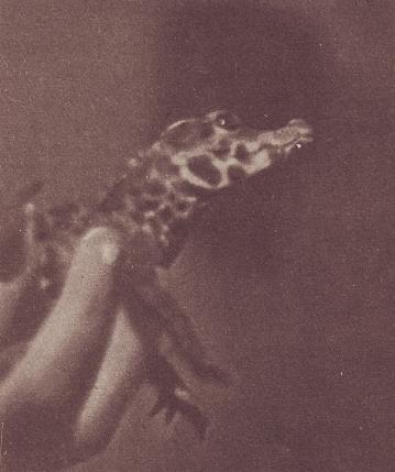 Чудесный мир - i_040.jpg