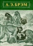 Жизнь животных Том I Млекопитающие - Брем Альфред Эдмунд