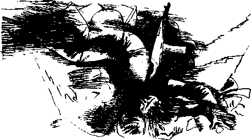 Где ты, маленький "Птиль" - i_034.png