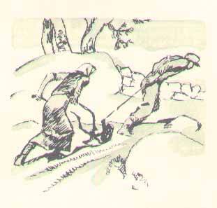 Консул - i_012.jpg