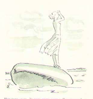 Консул - i_019.jpg