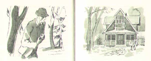 Консул - i_041.jpg